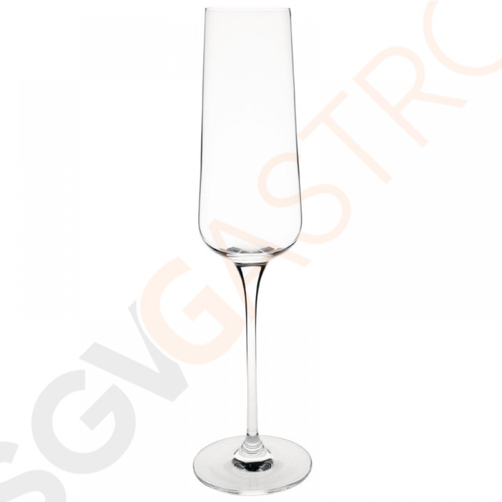 Olympia Claro Champagnergläser 26cl 6 Stück | Kapazität: 26cl | Kristall Olympia Claro Champagnergläser 26cl 6 Stück | Kapazität: 26cl | Kristall