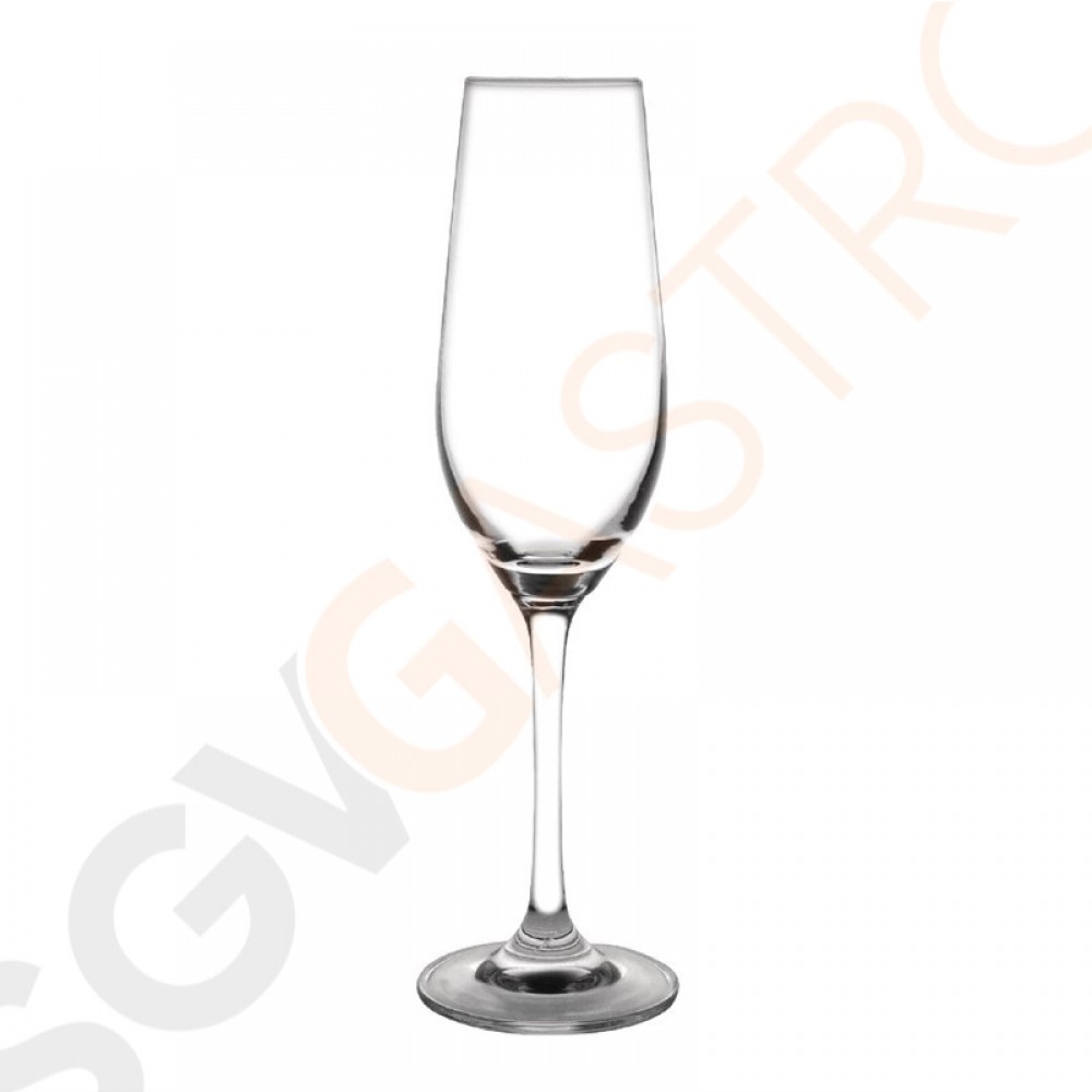 Olympia Chime Champagnergläser Kristall 22,5cl 6 Stück | Kapazität: 22,5cl | Kristall Olympia Chime Champagnergläser Kristall 22,5cl 6 Stück | Kapazität: 22,5cl | Kristall